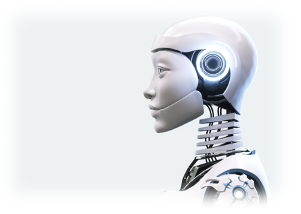indeana bot protection